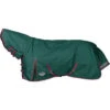 2023 Weatherbeeta Comfitec Plus Dynamic II Lite Combo Neck Rug - Green / Grey / Red -Chic Equestrian Supplies 1006910000 GREENGREYRED WB CFT PDYNMC II CMB Image Null Hero.700x700