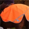 2022 Weatherbeeta 300D Reflective Exercise Sheet 000037 - Orange -Chic Equestrian Supplies 1516 Weatherbeeta 300D Reflective Exercise Sheet Orange.700x700