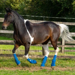 2022 Equilibrium Equi-Chaps Close Contact Chaps EQB1200 - Navy / Yellow -Chic Equestrian Supplies 1847 202220Equilibrium20Equi Chaps20Close20Contact20Chaps20EQB120020 20Navy20Yellow20Lifestyle202.700x700