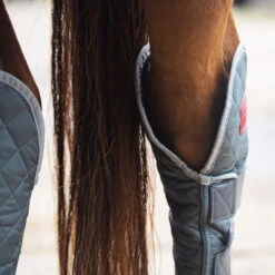 2022 Equilibrium Hind & Hock Magnetic Chaps EQB1186 - Grey -Chic Equestrian Supplies 1852 202220Equilibrium20Hind2020Hock20Magnetic20Chaps20EQB118620 20Grey20Close20Up201.700x700
