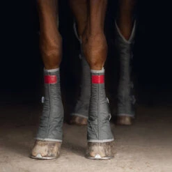 2022 Equilibrium Hind & Hock Magnetic Chaps EQB1186 - Grey -Chic Equestrian Supplies 1852 202220Equilibrium20Hind2020Hock20Magnetic20Chaps20EQB118620 20Grey20Close20Up203.700x700