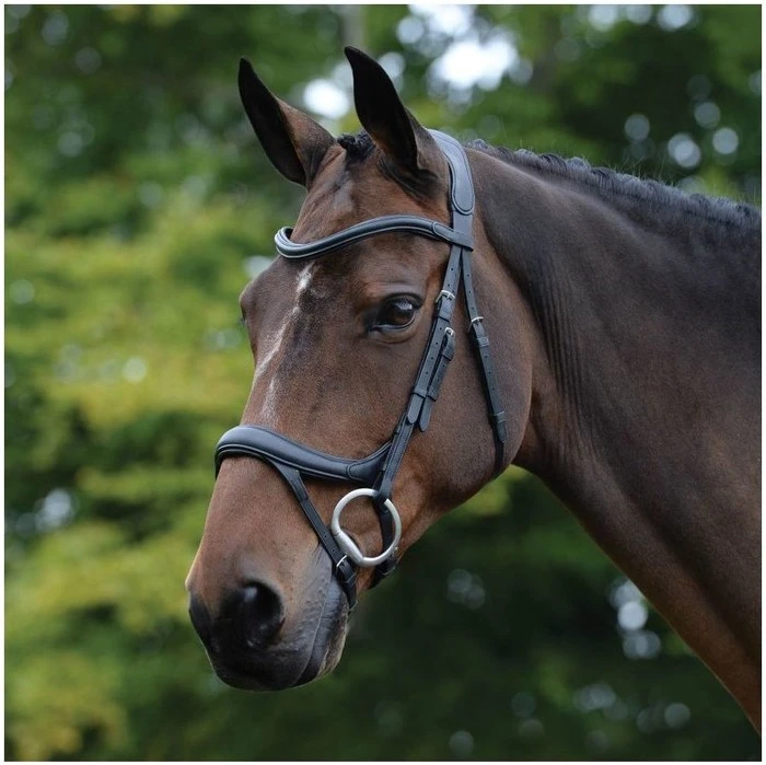 2021 Collegiate Comfitec Vogue Anatomical Bridle 100637600 - Black Colour Black 3 2021 Collegiate Comfitec Vogue Anatomical Bridle 100637600 - Black Colour Black