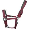 2022 Woof Wear Contour Head Collar WS0022 - Shiraz Colour Shiraz 2 2022 Woof Wear Contour Head Collar WS0022 - Shiraz Colour Shiraz -Chic Equestrian Supplies 202120Woof20Wear20Contour20Head20Collar2020WS002220 20Shiraz.700x700
