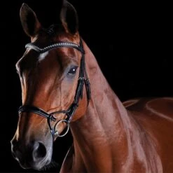 2022 Collegiate Comfitec Patent Bridle 8111 - Black Colour Black