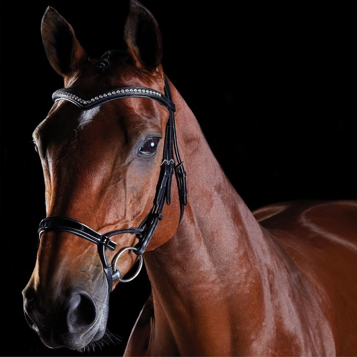 2022 Collegiate Comfitec Patent Bridle 8111 - Black Colour Black 3 2022 Collegiate Comfitec Patent Bridle 8111 - Black Colour Black
