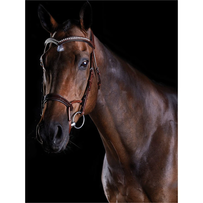 2022 Collegiate Comfitec Patent Bridle 8111 - Brown Colour Brown 3 2022 Collegiate Comfitec Patent Bridle 8111 - Brown Colour Brown