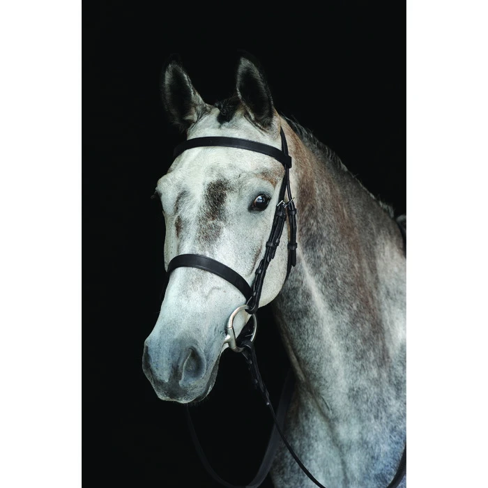2022 Collegiate Hunt Cavesson Bridle IV 800800 - Black Colour Black 3 2022 Collegiate Hunt Cavesson Bridle IV 800800 - Black Colour Black