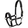 2022 Eskadron Pin Buckle Headcollar 410173815 - Black -Chic Equestrian Supplies 202220Eskadron20Pin20Buckle20Headcollar2041017381520 20Black20Main.700x700