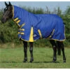 2022 Weatherbeeta Comfitec Classic Combo Neck Medium Turnout Rug 1000423 - Blue / Lemon Colour Blue/Lemon -Chic Equestrian Supplies 202220Weatherbeeta20Comfitec20Classic20Combo20Neck20Medium20Rug20100042320 20Blue20Lemon201.700x700