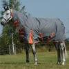 2022 Weatherbeeta Comfitec Classic Combo Neck Medium Turnout Rug 1000423 - Gunmetal / Coral Colour Gunmetal/Coral 2 2022 Weatherbeeta Comfitec Classic Combo Neck Medium Turnout Rug 1000423 - Gunmetal / Coral Colour Gunmetal/Coral -Chic Equestrian Supplies 202220Weatherbeeta20Comfitec20Classic20Combo20Neck20Medium20Rug20100042320 20Gunmetal20Coral201.700x700