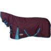 2023 Weatherbeeta Comfitec Essential Combo Neck Medium Turnout Rug 10004151 - Grape Purple / Blue Colour Blue/Grape Purple