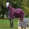 2022 Weatherbeeta Comfitec Plus Dynamic II Lite Combo Neck Rug & Liner Bundle - Maroon / Grey 2 2022 Weatherbeeta Comfitec Plus Dynamic II Lite Combo Neck Rug & Liner Bundle - Maroon / Grey -Chic Equestrian Supplies 202220Weatherbeeta20Comfitec20Plus20Dynamic20II20Lite20Combo20Neck20Rug202620Liner20 20Maroon20Grey20Main.700x700
