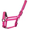 2022 Woof Wear Cob Contour Head Collar WS0022-BERY-COB - Berry 1 2022 Woof Wear Cob Contour Head Collar WS0022-BERY-COB - Berry -Chic Equestrian Supplies 202220Woof20Wear20Cob20Contour20Head20Collar20WS0022 BERY COB20 20Berry.700x700