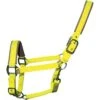 2022 Woof Wear Cob Contour Head Collar WS0022-YELL-COB - Yellow 2 2022 Woof Wear Cob Contour Head Collar WS0022-YELL-COB - Yellow -Chic Equestrian Supplies 202220Woof20Wear20Cob20Contour20Head20Collar20WS0022 YELL COB20 20Yellow.700x700 1