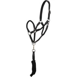 2023 HV Polo Franka Headcollar 1601093453 - Black Colour Black