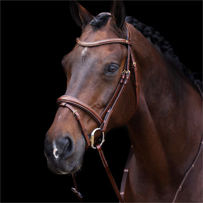 2023 HV Polo Legacy Bridle 1201093500 - Brown Colour Brown 3 2023 HV Polo Legacy Bridle 1201093500 - Brown Colour Brown