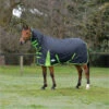 2023 Weatherbeeta Comfitec Classic Combo Neck Medium Turnout Rug 1000423 - Black / Lime Green Colour Black/Lime Green 2 2023 Weatherbeeta Comfitec Classic Combo Neck Medium Turnout Rug 1000423 - Black / Lime Green Colour Black/Lime Green -Chic Equestrian Supplies 202320Weatherbeeta20Comfitec20Classic20Combo20Neck20Medium20Turnout20Rug20100042320 20Black20Lime20Green20203.700x700