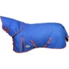 2023 Weatherbeeta Comfitec Plus Dynamic II Detach-A-Neck Medium Turnout Rug 10069170 - Royal Blue / Bright Orange Colour Royal Blue/Bright Orange -Chic Equestrian Supplies 202320Weatherbeeta20Comfitec20Plus20Dynamic20II20Detach A Neck20Medium20Turnout20Rug201006917020 20Royal20Blue2020Bright20Orange201.700x700
