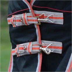 2022 Weatherbeeta Comfitec Premier & Therapy-Tec Medium Detach-A-Neck Turnout Rug - Black / Red -Chic Equestrian Supplies 2217 202220Weatherbeeta20Comfitec20Premier20With20Therapy Tec20Medium20Detach A Neck20Rug20100161401020 20Black2020Silver2020Red3.700x700