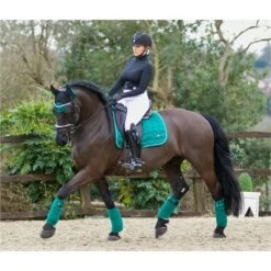 2022 Woof Wear Vision Polo Bandages WB0069 - British Racing Green Colour British Racing Green -Chic Equestrian Supplies 2846 Vision20british20Racing20Green2091.700x700