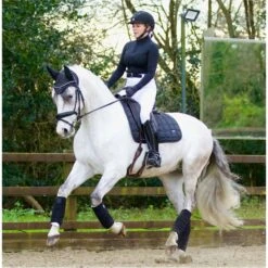 2022 Woof Wear Vision Fly Veil WS0012 - Black Colour Black 9 2022 Woof Wear Vision Fly Veil WS0012 - Black Colour Black -Chic Equestrian Supplies 2863 Vision20Black2017.700x700