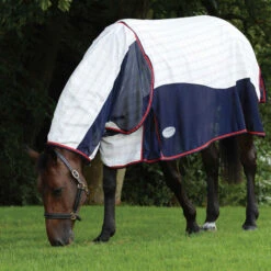 Weatherbeeta Breeze With Surcingle III Combo Neck Rug - White / Navy 9 Weatherbeeta Breeze With Surcingle III Combo Neck Rug - White / Navy -Chic Equestrian Supplies 30f1c45a34a32ac999f914e280bb551a 9.700x700