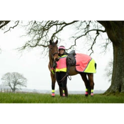 2022 Equisafety Charlotte Dujardin Hi Vis Multi Coloured Horse Sheet CD-MCQWS - Pink / Yellow -Chic Equestrian Supplies 3127 Equisafety Jan22 144201201.700x700