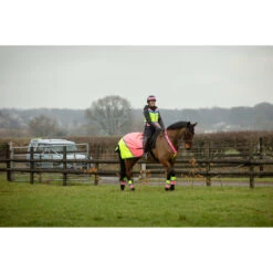 2022 Equisafety Charlotte Dujardin Hi Vis Multi Coloured Horse Sheet CD-MCQWS - Pink / Yellow -Chic Equestrian Supplies 3127 Equisafety Jan22 152201.700x700