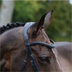 2021 Collegiate Comfitec Vogue Anatomical Bridle 100637600 - Black Colour Black 7 2021 Collegiate Comfitec Vogue Anatomical Bridle 100637600 - Black Colour Black -Chic Equestrian Supplies 3436 202120Collegiate20Comfitec20Vogue20Anatomical20Bridle2010063760020 20Black20detail.700x700