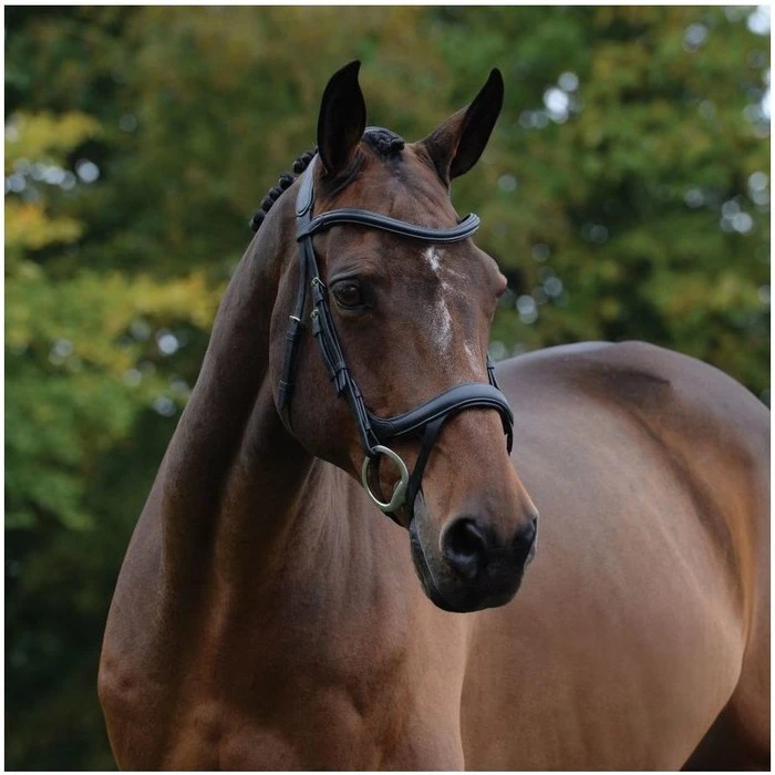 2021 Collegiate Comfitec Vogue Anatomical Bridle 100637600 - Black Colour Black 4 2021 Collegiate Comfitec Vogue Anatomical Bridle 100637600 - Black Colour Black - Image 2