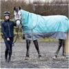 2022 Hy Equestrian StormX Original This Esme 200 Turnout Rug W/ Detachable Neck 35125 - Mint / Grey
