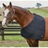 2022 Weatherbeeta Deluxe Shoulder Guard 589564 - Black -Chic Equestrian Supplies 3958 1.700x700