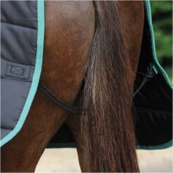 2022 Weatherbeeta Green-Tec Medium-Lite Standard Neck Rug - Black / Green 15 2022 Weatherbeeta Green-Tec Medium-Lite Standard Neck Rug - Black / Green -Chic Equestrian Supplies 3971 3971 7.700x700