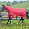 2022 Weatherbeeta Comfitec Classic Medium-Lite Combo Neck Turnout Rug - Red / Silver