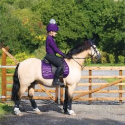 2022 Woof Wear Vision GP Saddle Pad WS0009 - Damsen Purple Colour Damsen Purple -Chic Equestrian Supplies 4638 Damson20Vision20320 20low20res.700x700