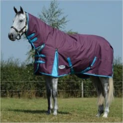 2023 Weatherbeeta Comfitec Essential Combo Neck Medium Turnout Rug 10004151 - Grape Purple / Blue Colour Blue/Grape Purple -Chic Equestrian Supplies 4899 202220Weatherbeeta20Comfitec20Essential20Combo20Neck20Medium20Rug201000415120 20Grape20Purple20Blue2.700x700