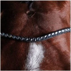 Chic Equestrian Supplies -Chic Equestrian Supplies 4e4e0a8a9430f6da05b7c4c4f7ab8246.700x700