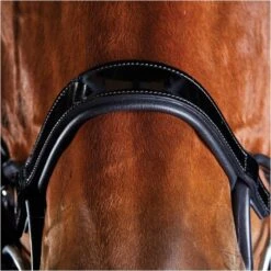 2022 Collegiate Comfitec Patent Bridle 8111 - Black Colour Black 7 2022 Collegiate Comfitec Patent Bridle 8111 - Black Colour Black -Chic Equestrian Supplies 5218 202220Collegiate20Comfitec20Patent20Bridle20811120 20Black3.700x700