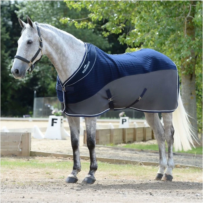 2023 Weatherbeeta Thermo-Air Cooler Sheet Standard Neck 10189250 - Navy / Grey 4 2023 Weatherbeeta Thermo-Air Cooler Sheet Standard Neck 10189250 - Navy / Grey - Image 2