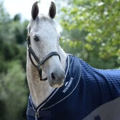 2023 Weatherbeeta Thermo-Air Cooler Sheet Standard Neck 10189250 - Navy / Grey 7 2023 Weatherbeeta Thermo-Air Cooler Sheet Standard Neck 10189250 - Navy / Grey -Chic Equestrian Supplies 6000 202320Weatherbeeta20Thermo Air20Cooler20Sheet20Standard20Neck201018925020 20Navy2020Grey20worn202.700x700