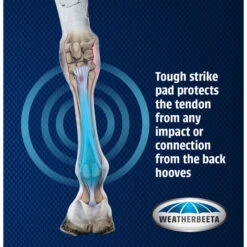 2023 Weatherbeeta Eventing Front Boots 8076 - Black -Chic Equestrian Supplies 6030 WB20Cross20Country20FR20Boots Graphic.700x700