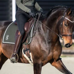2023 PS Of Sweden Elite Dressage Saddle Pad 1110038665 - Dark Green -Chic Equestrian Supplies 6074 202320PS20of20Sweden20Elite20Dressage20Saddle20Pad20111003866520 20Dark20Green20Lifestyle.700x700