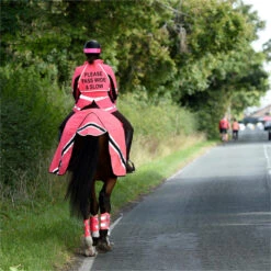 2023 Equisafety Hi-Vis Waterproof Wrap Around Exercise Rug WRUG - Pink 7 2023 Equisafety Hi-Vis Waterproof Wrap Around Exercise Rug WRUG - Pink -Chic Equestrian Supplies 6120 202320Equisafety20Hi Vis20Waterproof20Wrap20Around20Exercise20Rug20WRUG20 20Pink 20Lifestyle.700x700