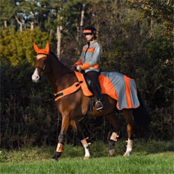 2023 Equisafety Mercury Reflective Exercise Rug MRUG-RO - Orange Colour Orange -Chic Equestrian Supplies 6121 202320Equisafety20Mercury20Reflective20Exercise20Rug20MRUG RO20 20Orange 20Lifestyle.700x700