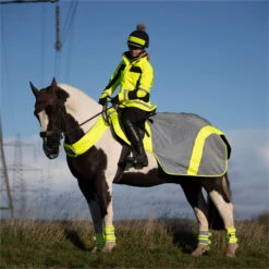 2023 Equisafety Mercury Reflective Exercise Rug MRUG-RO - Yellow Colour Yellow -Chic Equestrian Supplies 6122 202320Equisafety20Mercury20Reflective20Exercise20Rug20MRUG RO20 20Yellow 20Lifestyle202.700x700