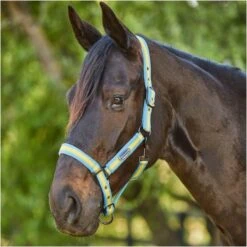 2023 Weatherbeeta Comfitec Essential Standard Neck Lite Turnout With FREE Headcollar - Seahorse Print 11 2023 Weatherbeeta Comfitec Essential Standard Neck Lite Turnout With FREE Headcollar - Seahorse Print -Chic Equestrian Supplies 6125 202320Weatherbeeta20Comfitec20Essential20Standard20Neck20Lite20Coordinate20Headcollar20100042031002094020 20Seahorse20Print20Light20Blue20Headcollar20Close20Up201.700x700