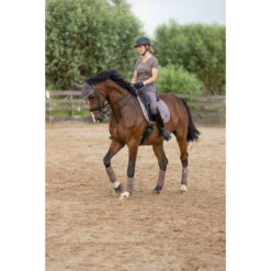 2023 HV Polo Jenna Dressage Saddle Pad 802093502 - Espresso Colour Espresso 9 2023 HV Polo Jenna Dressage Saddle Pad 802093502 - Espresso Colour Espresso -Chic Equestrian Supplies 6152 203A6760.700x700