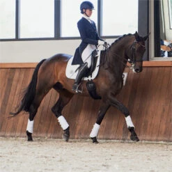 2023 Eskadron Highgloss Peacock Saddle Cloth 214731 544 - White Colour White -Chic Equestrian Supplies 6273 202320Eskadron20Highgloss20Peacock20Saddle20Cloth202147312054420 20White20Lifestyle203.700x700