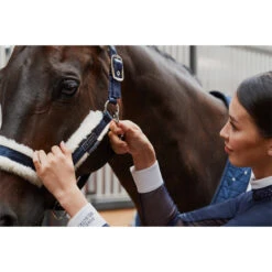 2023 Eskadron Double Pin Matt Gloss Evo-Wool Headcollar 420831 838 - Navy 7 2023 Eskadron Double Pin Matt Gloss Evo-Wool Headcollar 420831 838 - Navy -Chic Equestrian Supplies 6288 esk 0123 kam 420831 838 380 add1.700x700