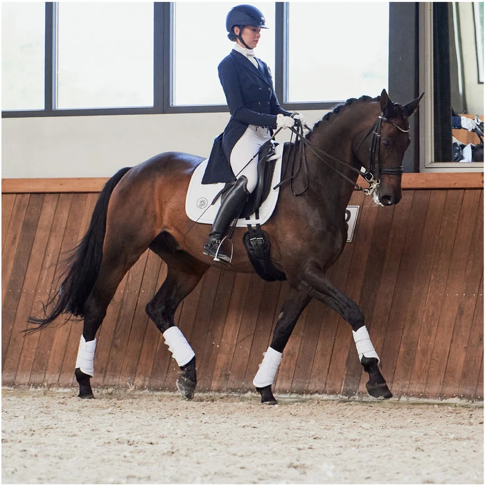 2023 Eskadron Highgloss Peacock Saddle Cloth & Round Bridle Number Holder Bundle PSNH23 - White 9 2023 Eskadron Highgloss Peacock Saddle Cloth & Round Bridle Number Holder Bundle PSNH23 - White - Image 7